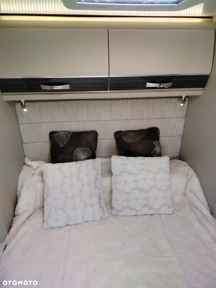 SWIFT Bessaacar Cameo - 16