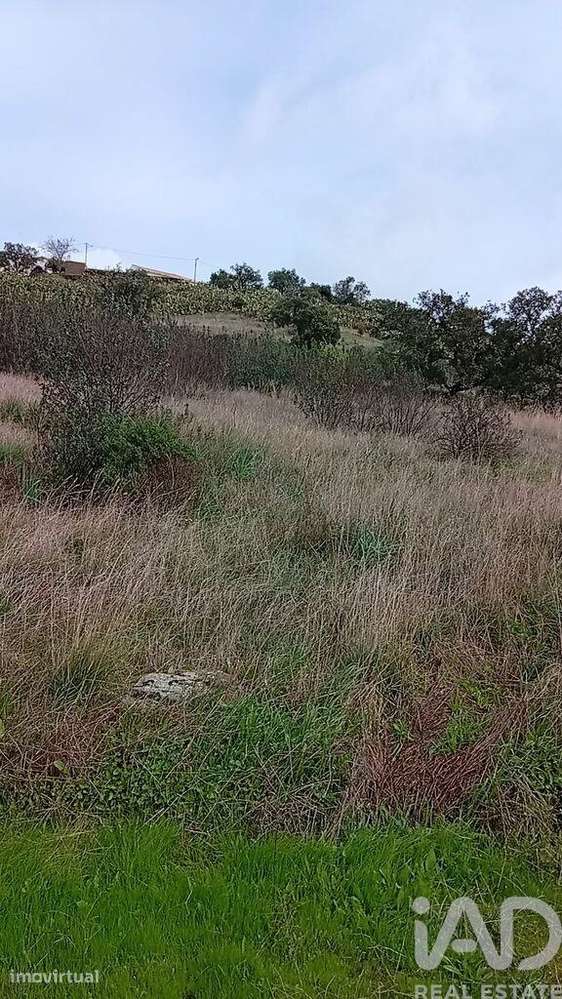 Terreno Agrícola em Ameixial - Grande imagem: 5/8