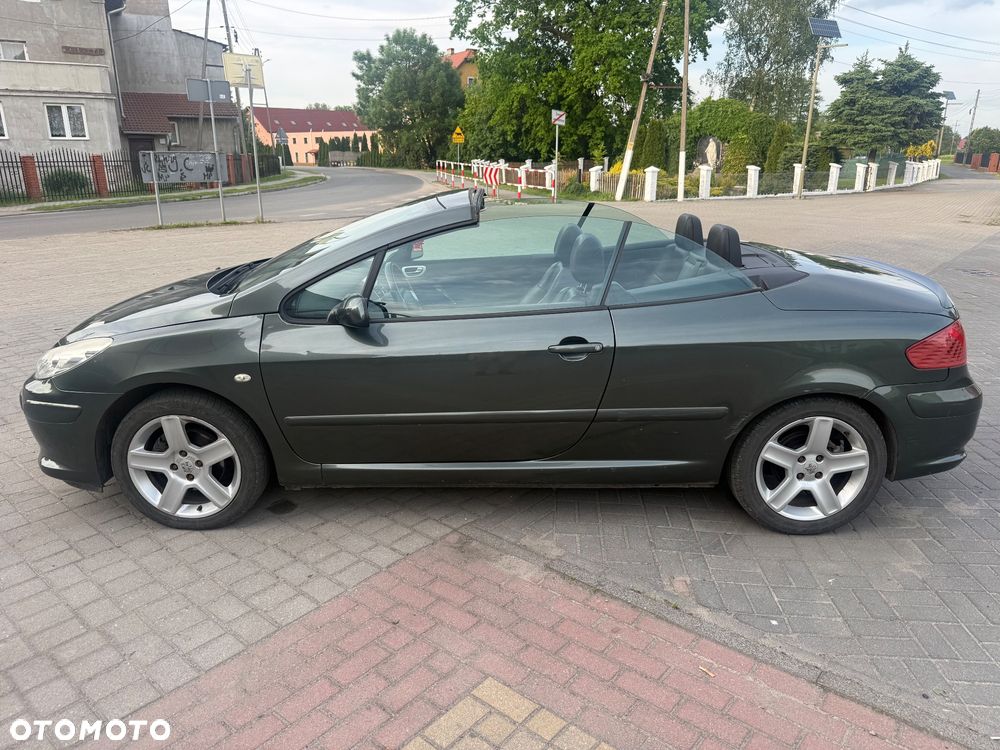 Peugeot 307 CC 2.0 - 7