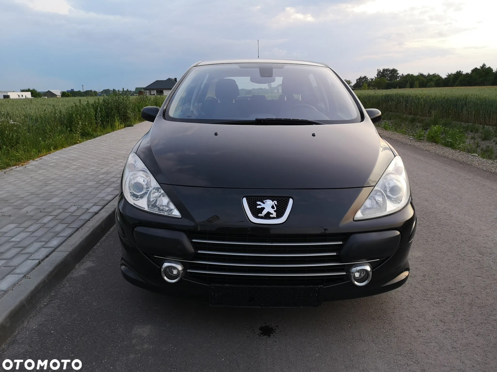 Peugeot 307 110 OXYGO - 35