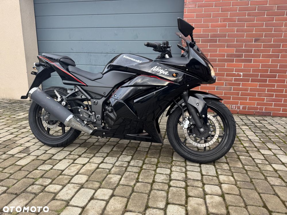 Kawasaki Ninja 250R - 2