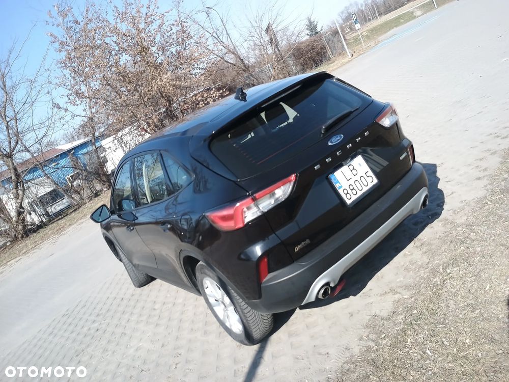 Ford Escape - 7