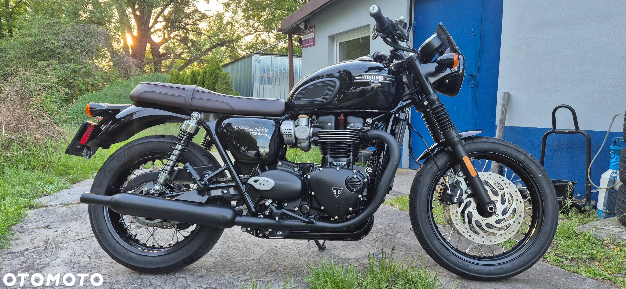 Triumph Bonneville - 2