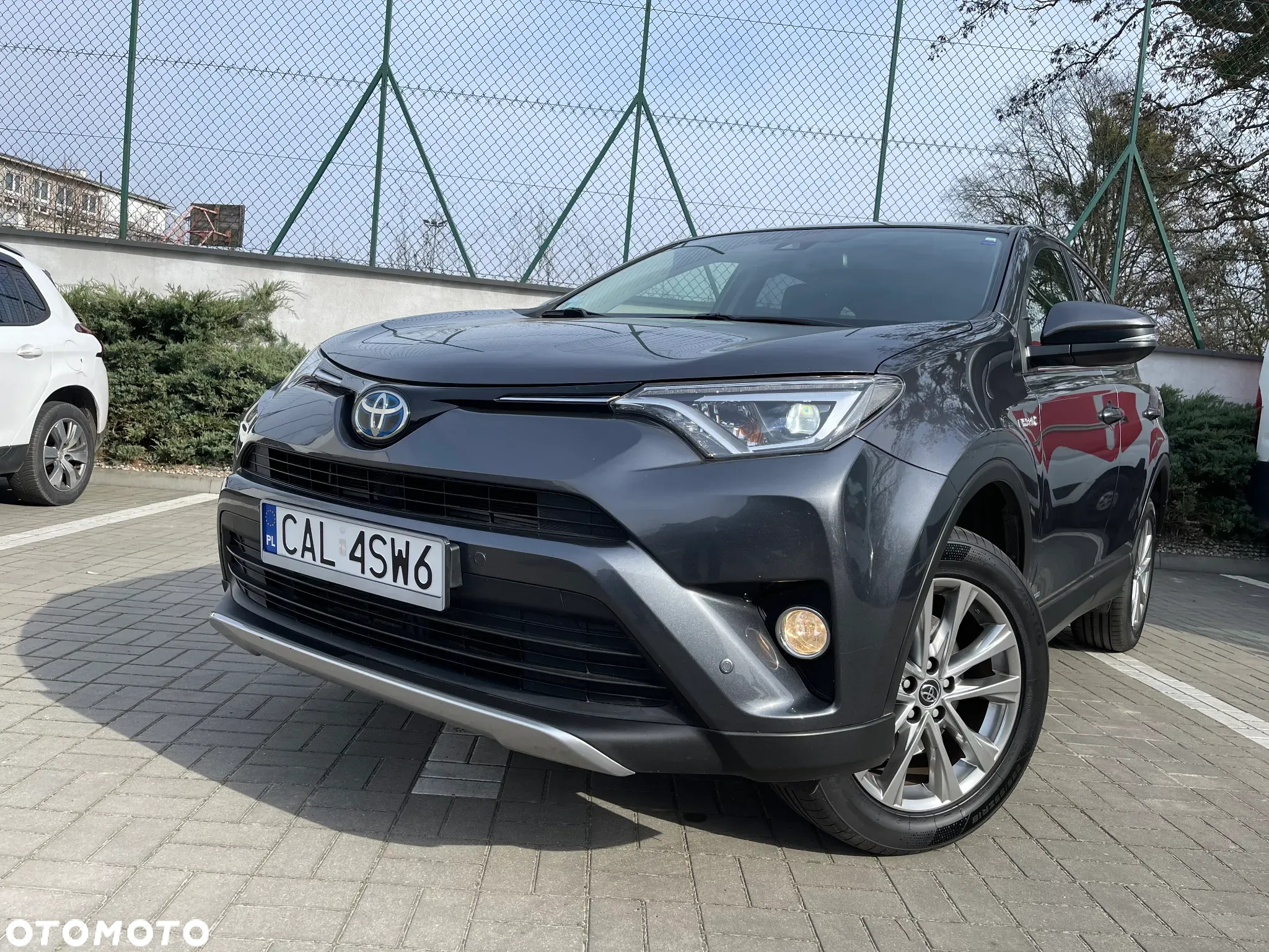 Toyota RAV4 2.5 4x2 Hybrid Executive - 31