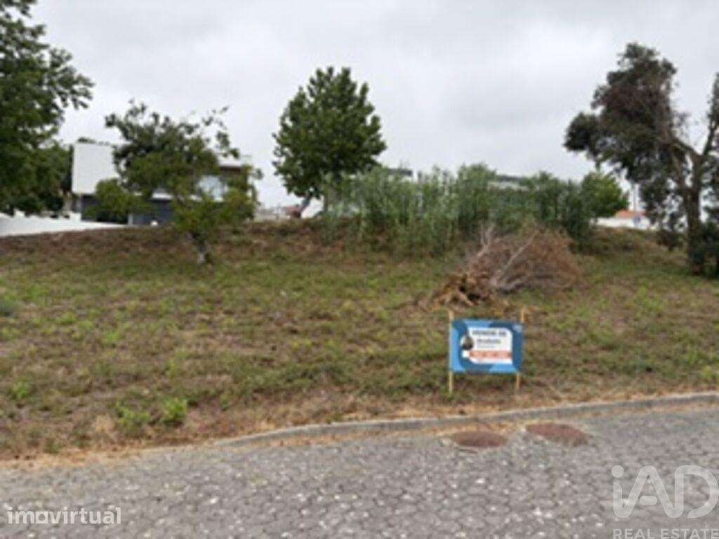 Terreno para construção em Leiria, Pousos, Barreira e Cortes - Grande imagem: 5/40