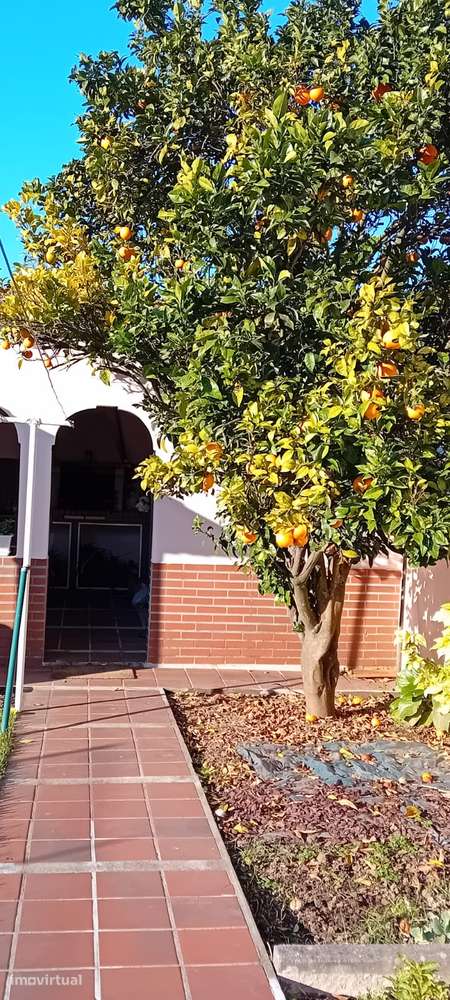 Moradia T3 em Arcozelo, Vila Nova de Gaia - Grande imagem: 5/32