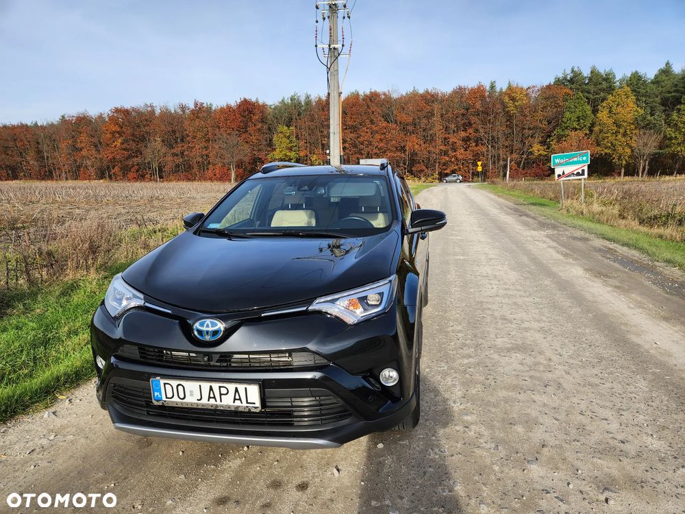 Toyota RAV4 Hybrid Prestige 4x2 - 11