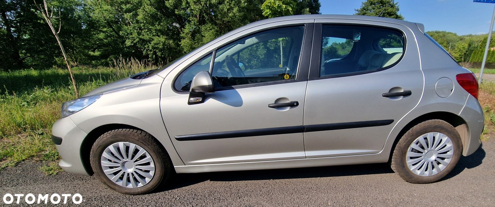 Peugeot 207 - 10