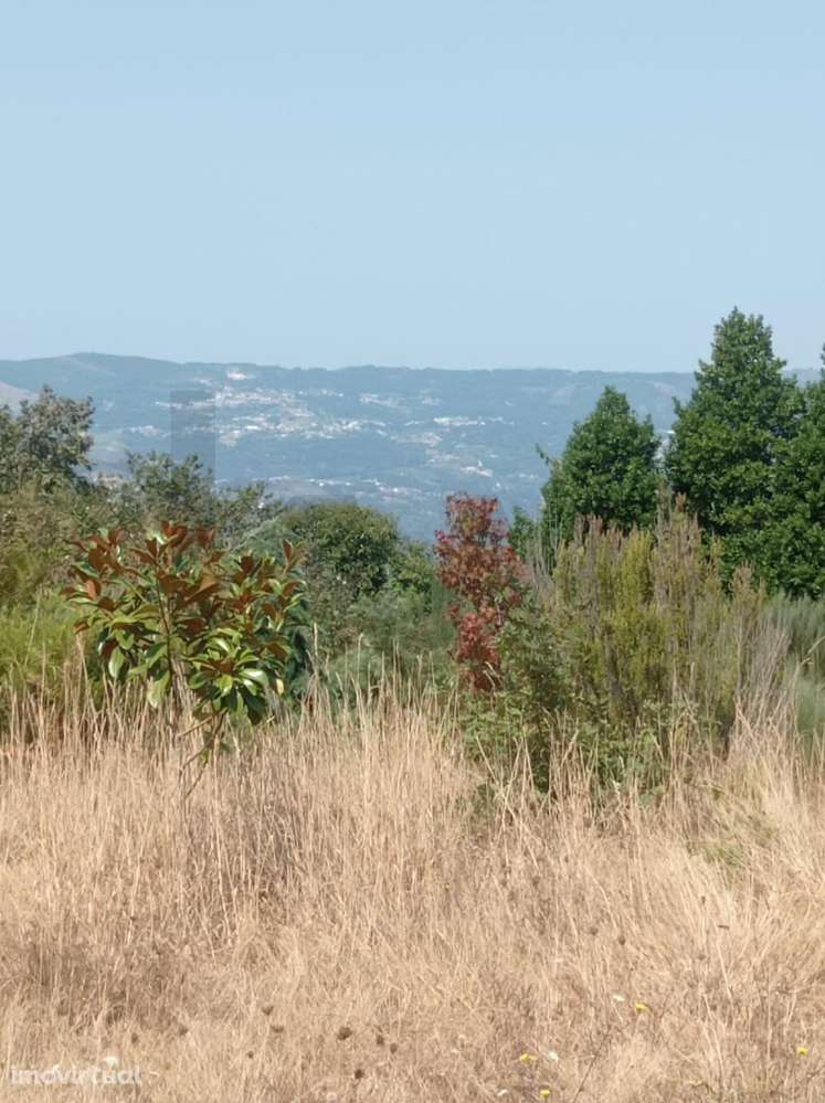 Excelente Oportunidade de Investimento - Fornelos, Cinfães - - Grande imagem: 3/9