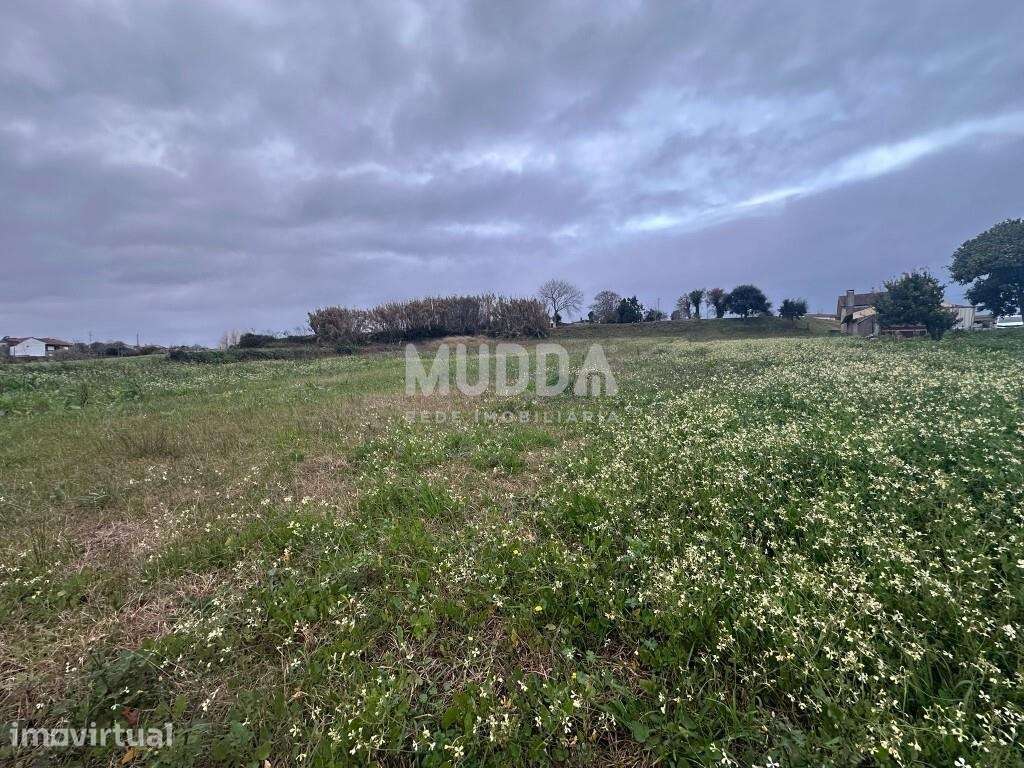 Terreno elevado com vista panorâmica desafogada, a poucos minutos d - Grande imagem: 4/7