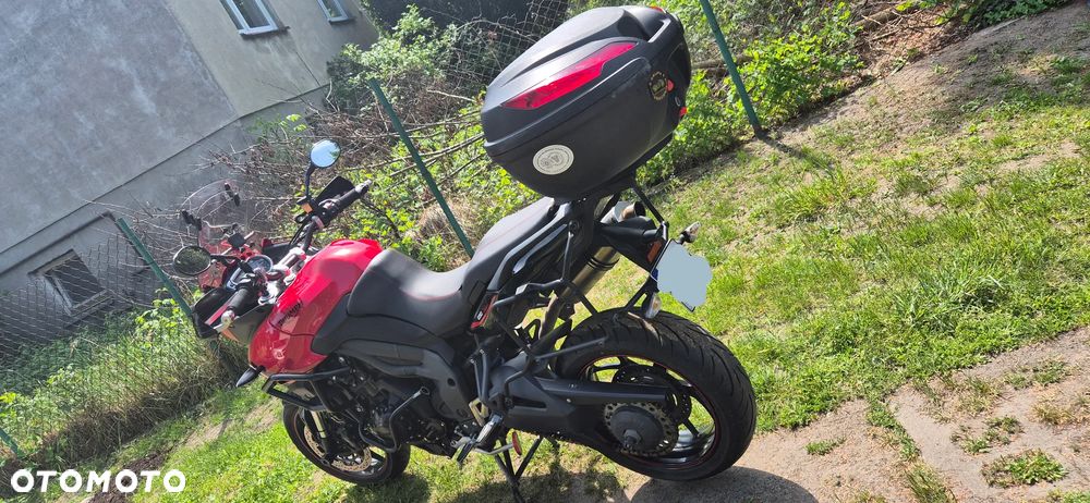 Triumph Tiger - 4