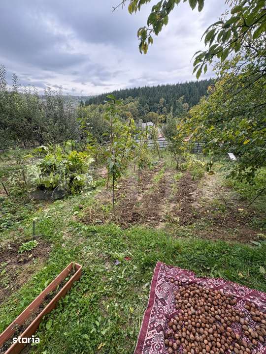 Teren intravilan de vanzare, 556 mp, zona strada Taberei - Imagine principală: 3/4