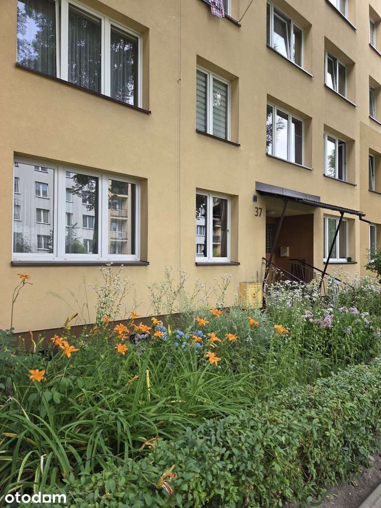GLIWICE Sikornik urocza kawalerka na parterze w niskim bloku