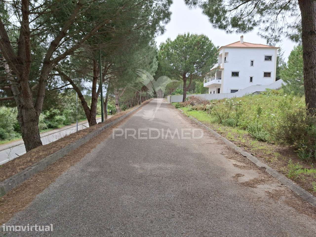Lote de Moradia - Grande imagem: 2/13