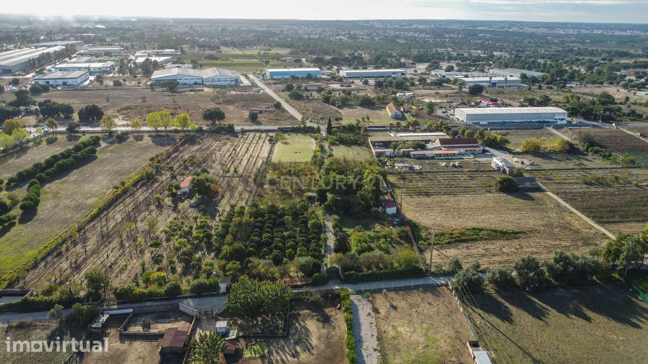 Terreno Rústico em Quinta do Anjo, Palmela - 11.800m2 - Grande imagem: 4/21