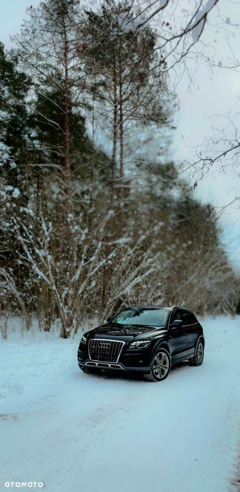 Audi Q5 - 1