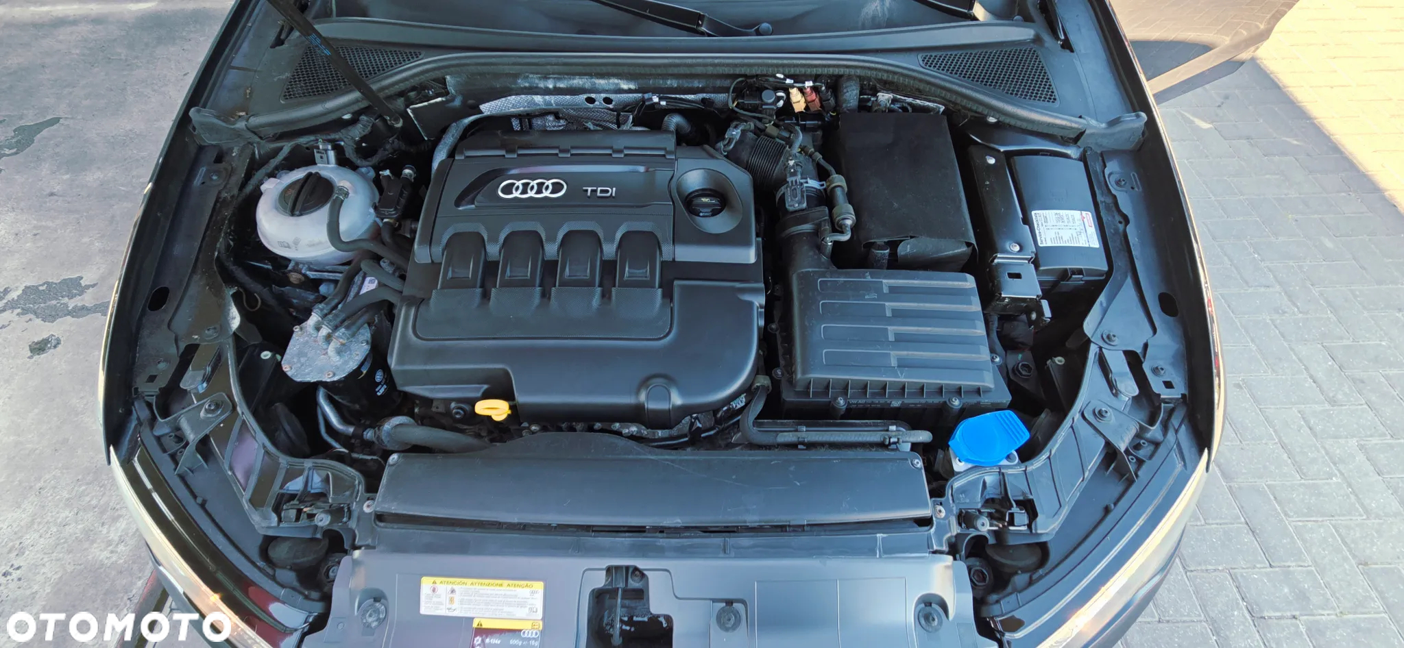 Audi A3 1.6 TDI clean diesel Attraction - 39