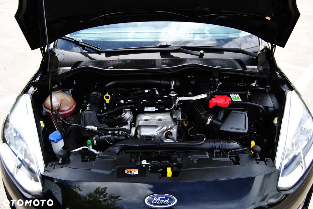 Ford Fiesta - 15