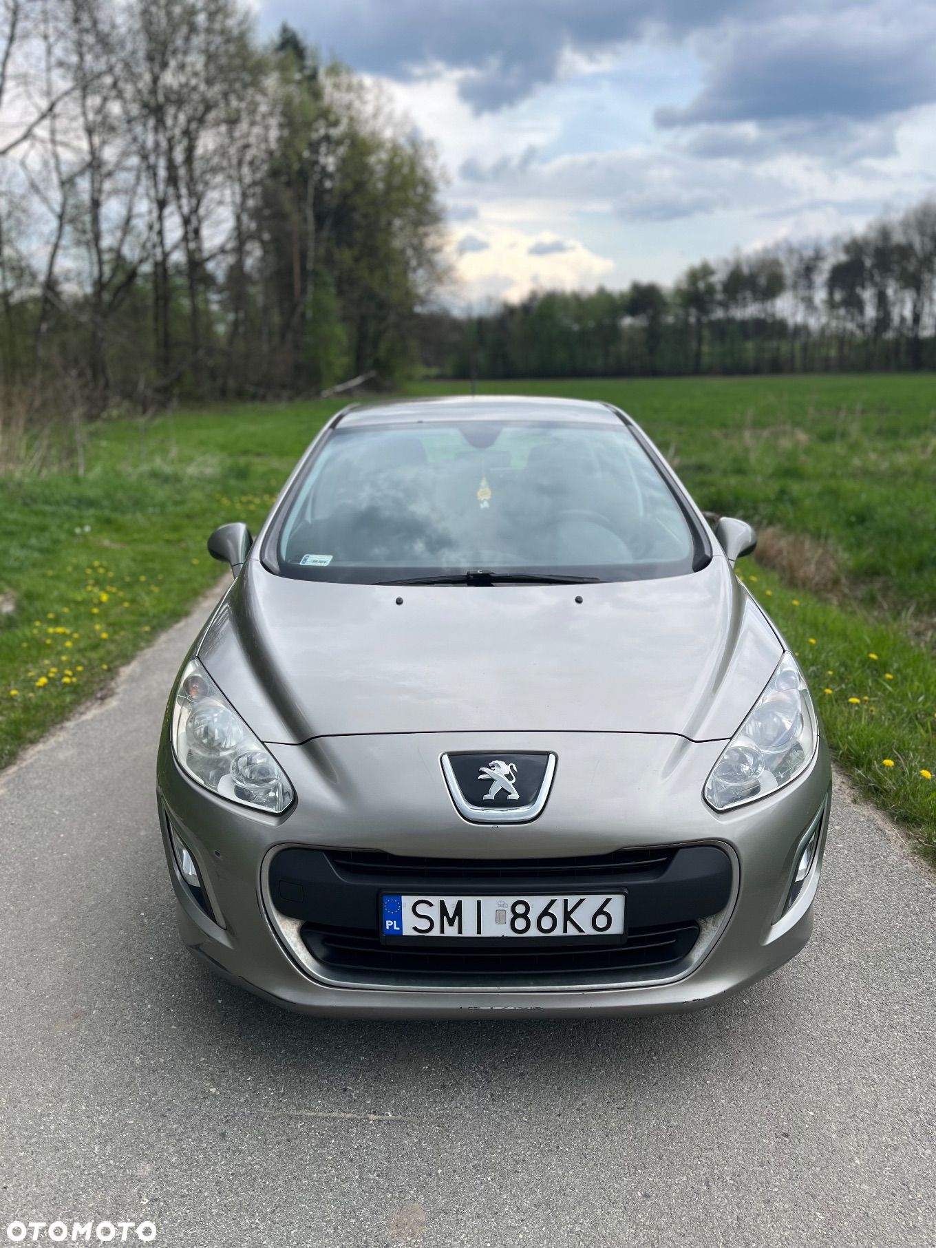 Peugeot 308 - 1