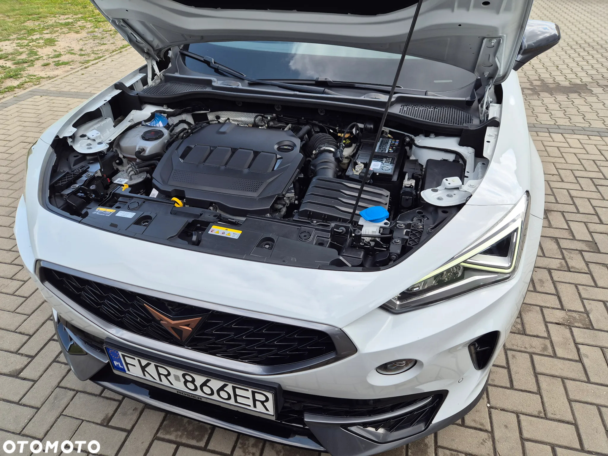 Cupra Formentor 2.0 TDI 4Drive DSG Tribe Edition - 32