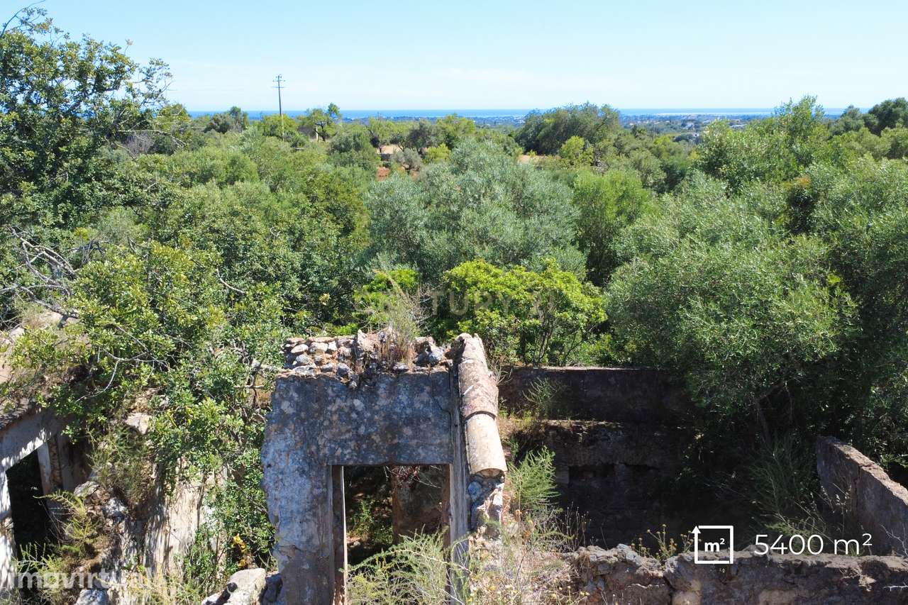 Terreno com Ruína e Potencial de Construção | 5.400 m² | Moncarapacho - Grande imagem: 4/7