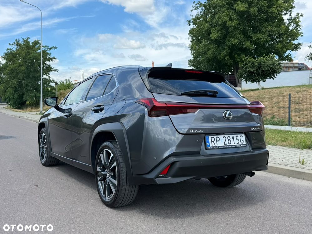 Lexus UX 250h - 12