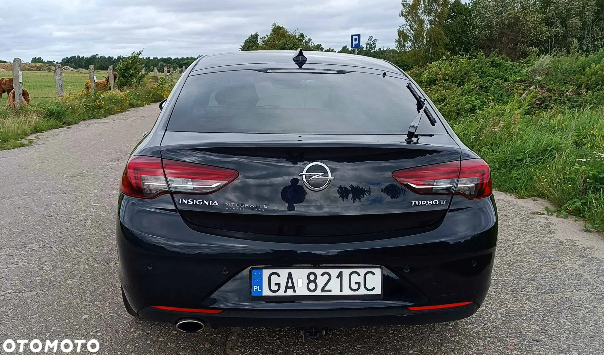 Opel Insignia - 4