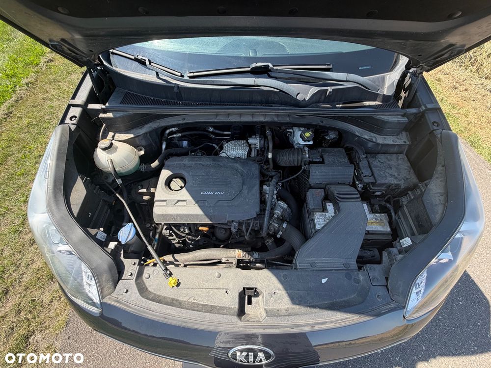 Kia Sportage - 28
