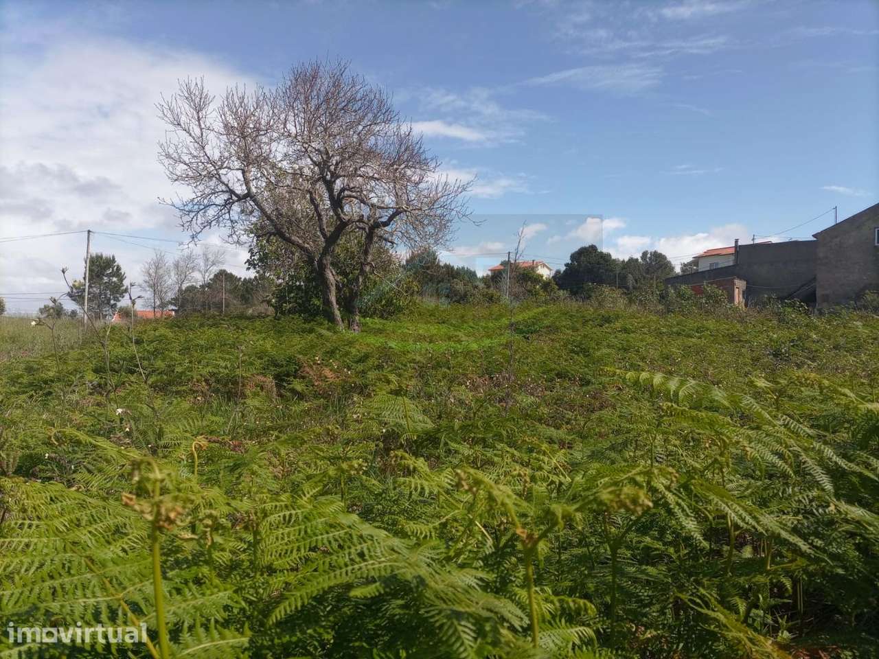 Terreno 1190m² com Viabilidade para 2 Casas – Tavarede, Figueira da - Grande imagem: 4/20