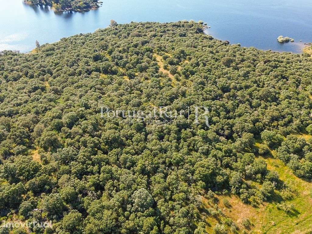 Terreno com 11,5ha na barragem de Idanha-a-Nova - Grande imagem: 4/22