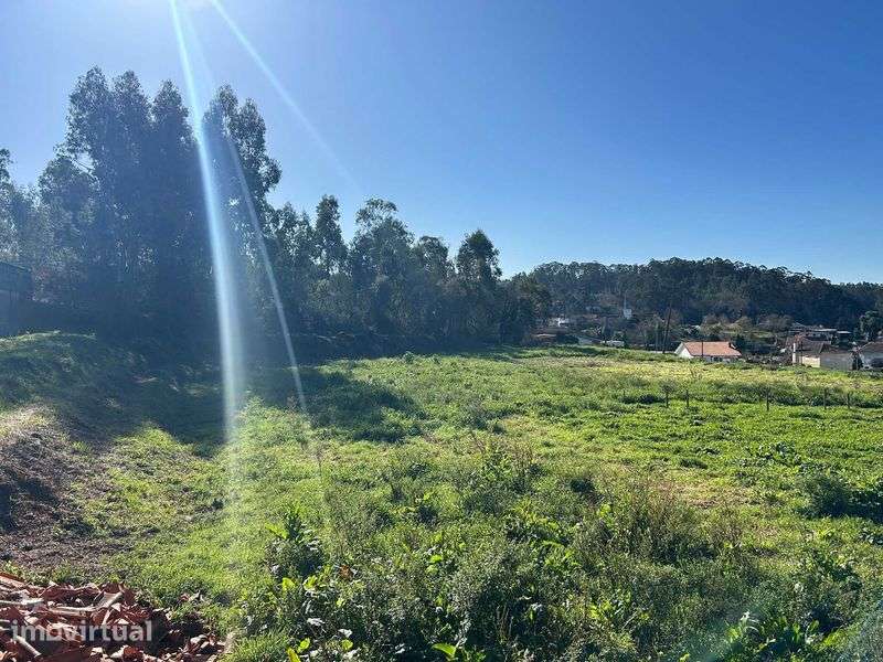 Terreno para construção em Mosteirô - Grande imagem: 3/4