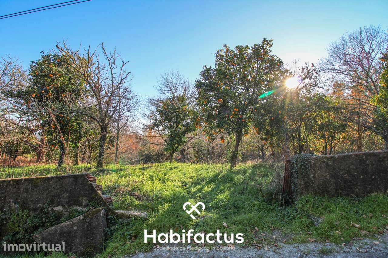 Terreno amplo e versátil em Santiago de Besteiros - Grande imagem: 4/20