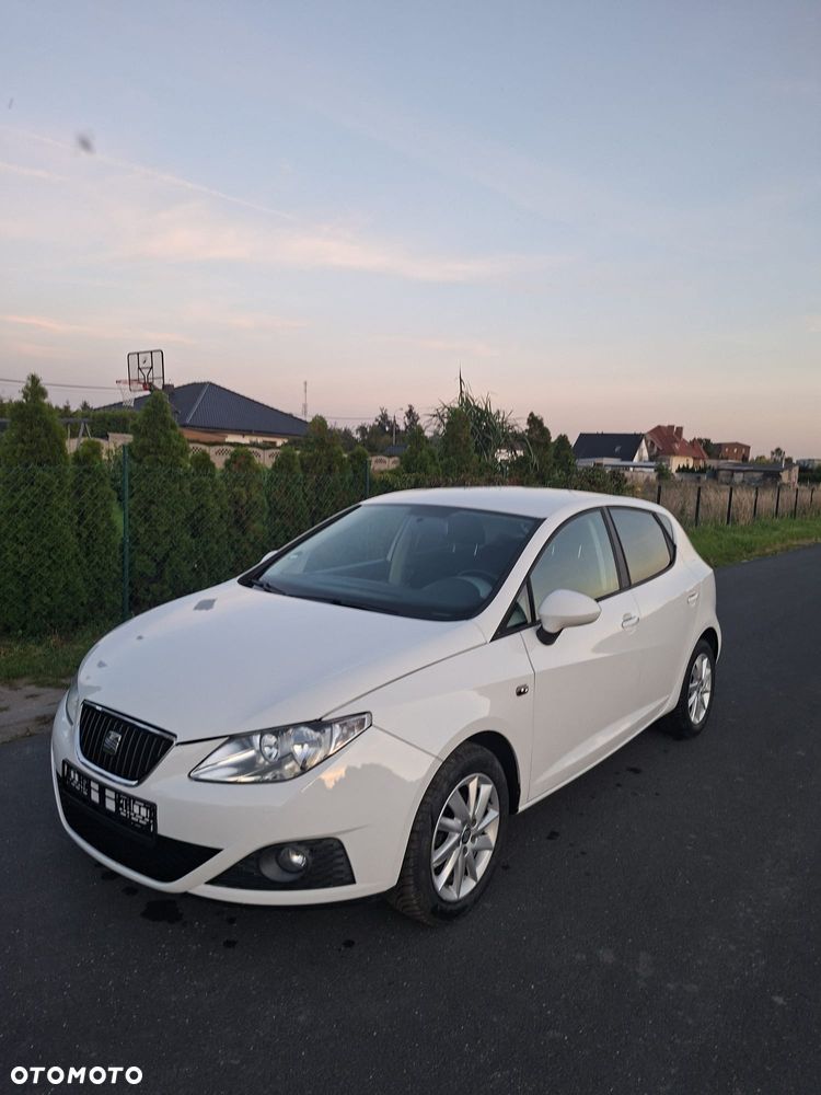 Seat Ibiza - 25