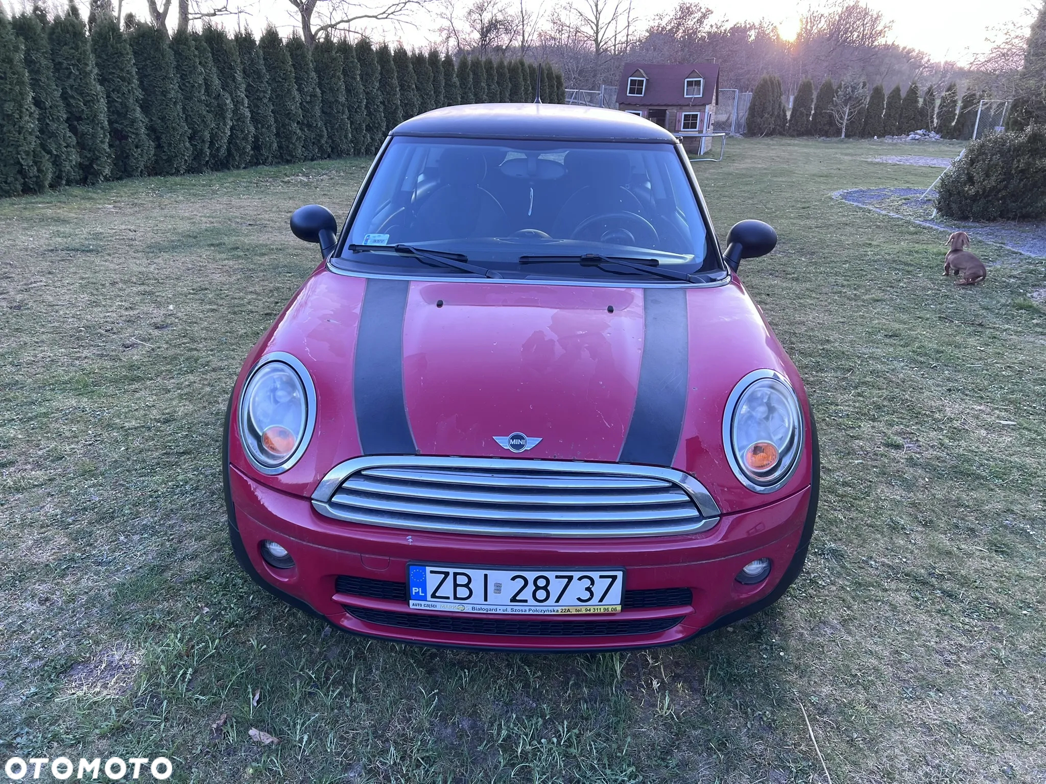 MINI Cooper D - 11