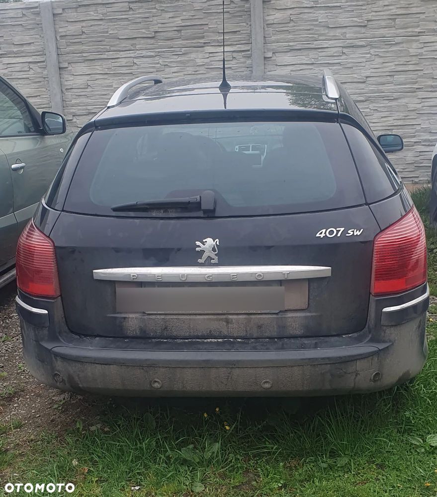 Peugeot 407 - 19