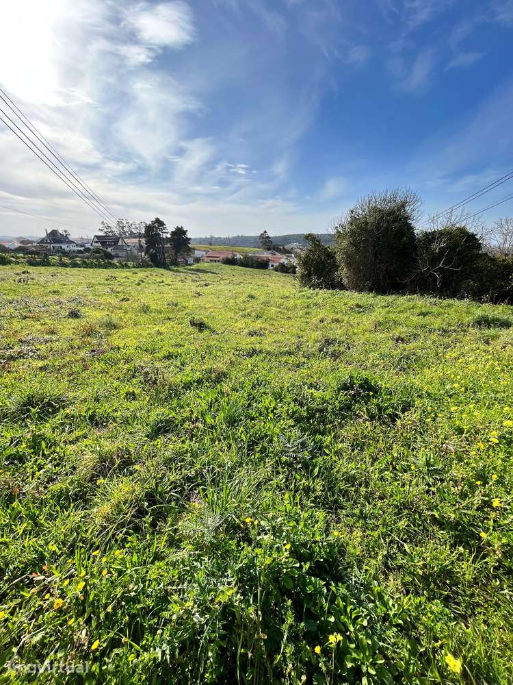 TERRENO PARA CONTRUÇÃO - 8 MORADIAS EM BOAVISTA - Grande imagem: 3/10