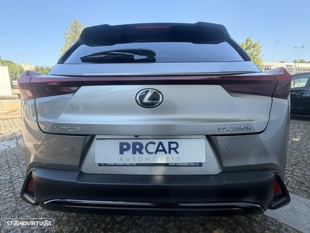 Lexus UX 250h - 39
