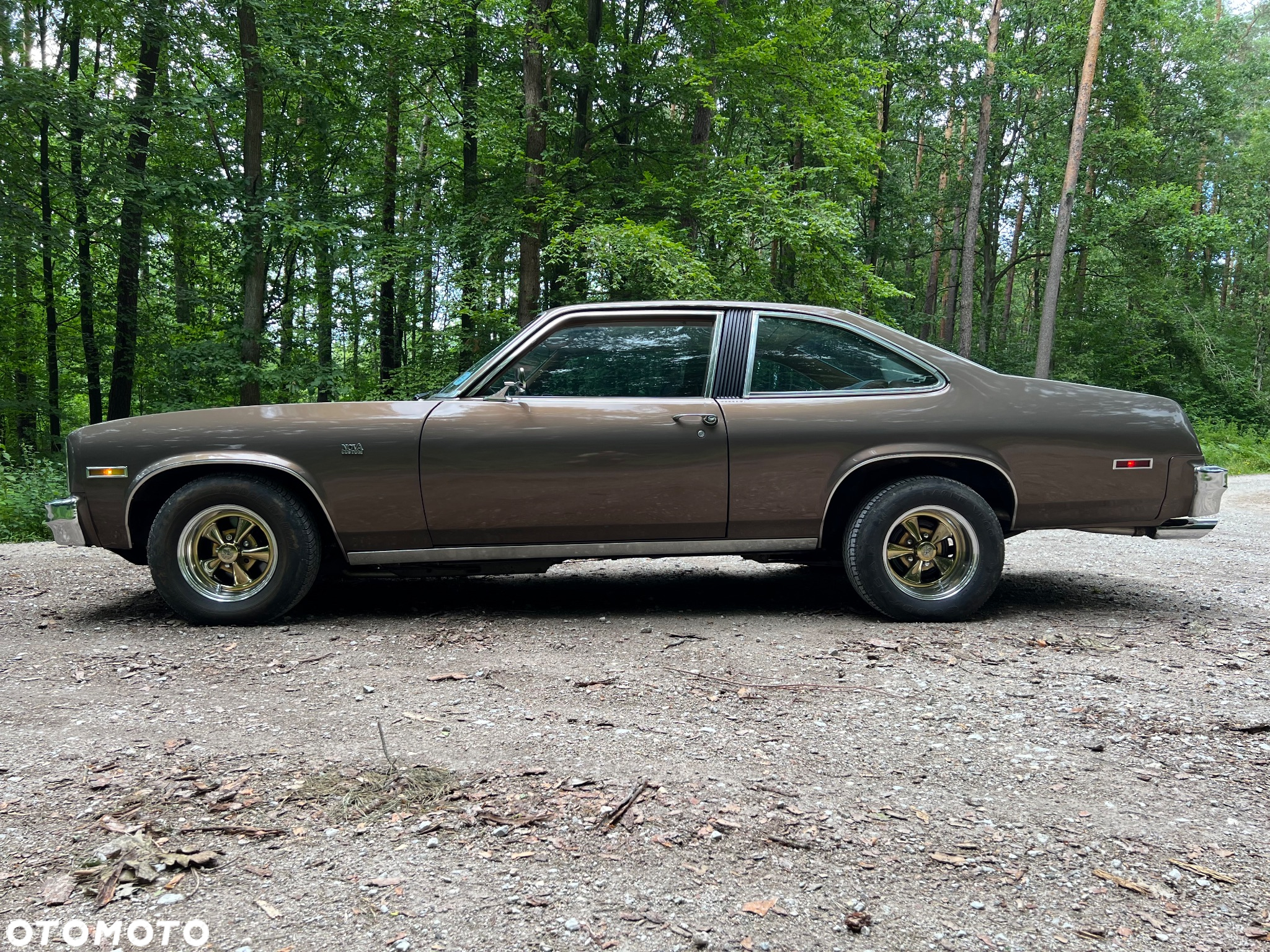 Chevrolet Nova - 8