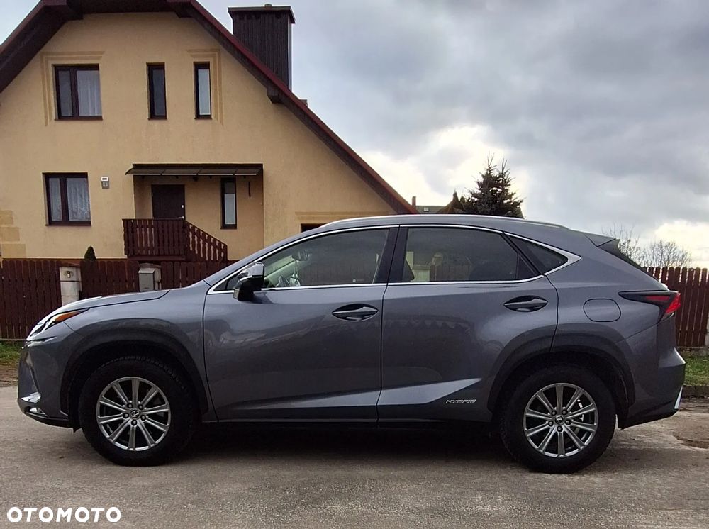 Lexus NX - 14