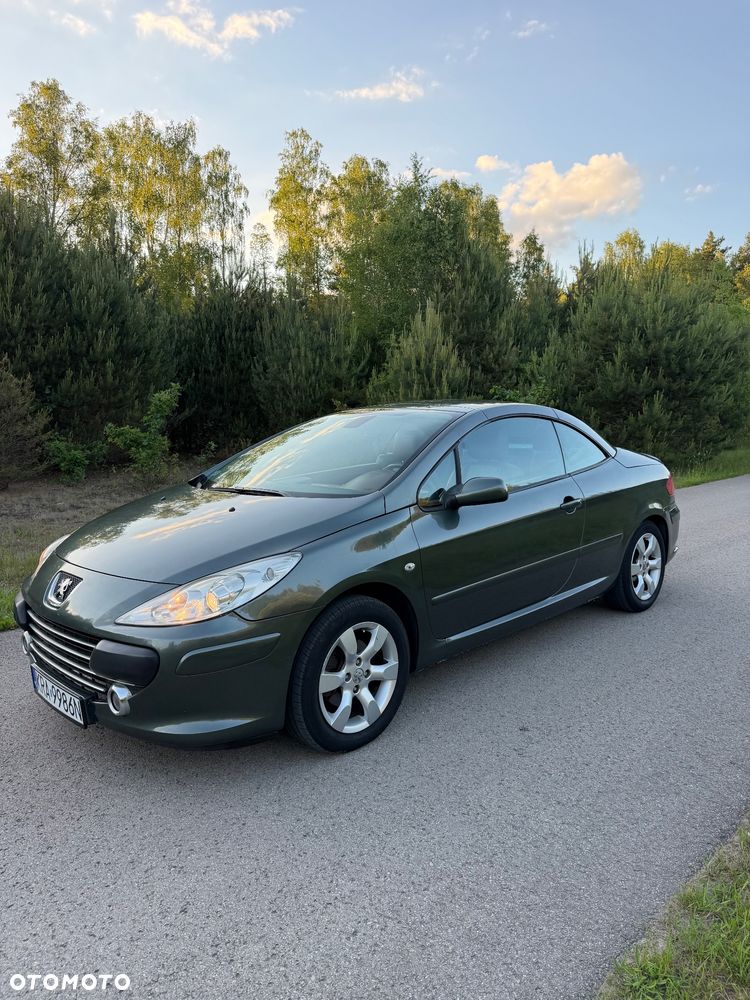 Peugeot 307 CC 2.0 Intense - 16