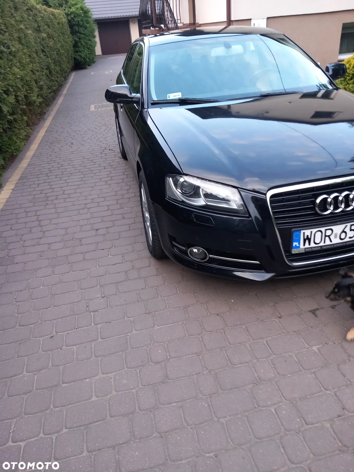 Audi A3 - 6