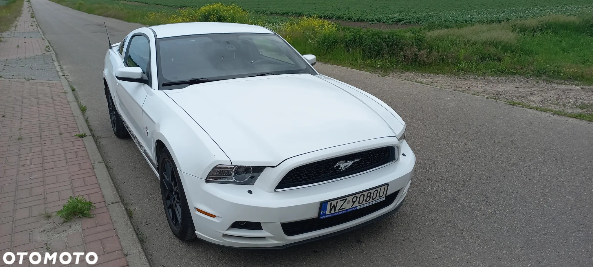 Ford Mustang 3.7 V6 Premium - 6