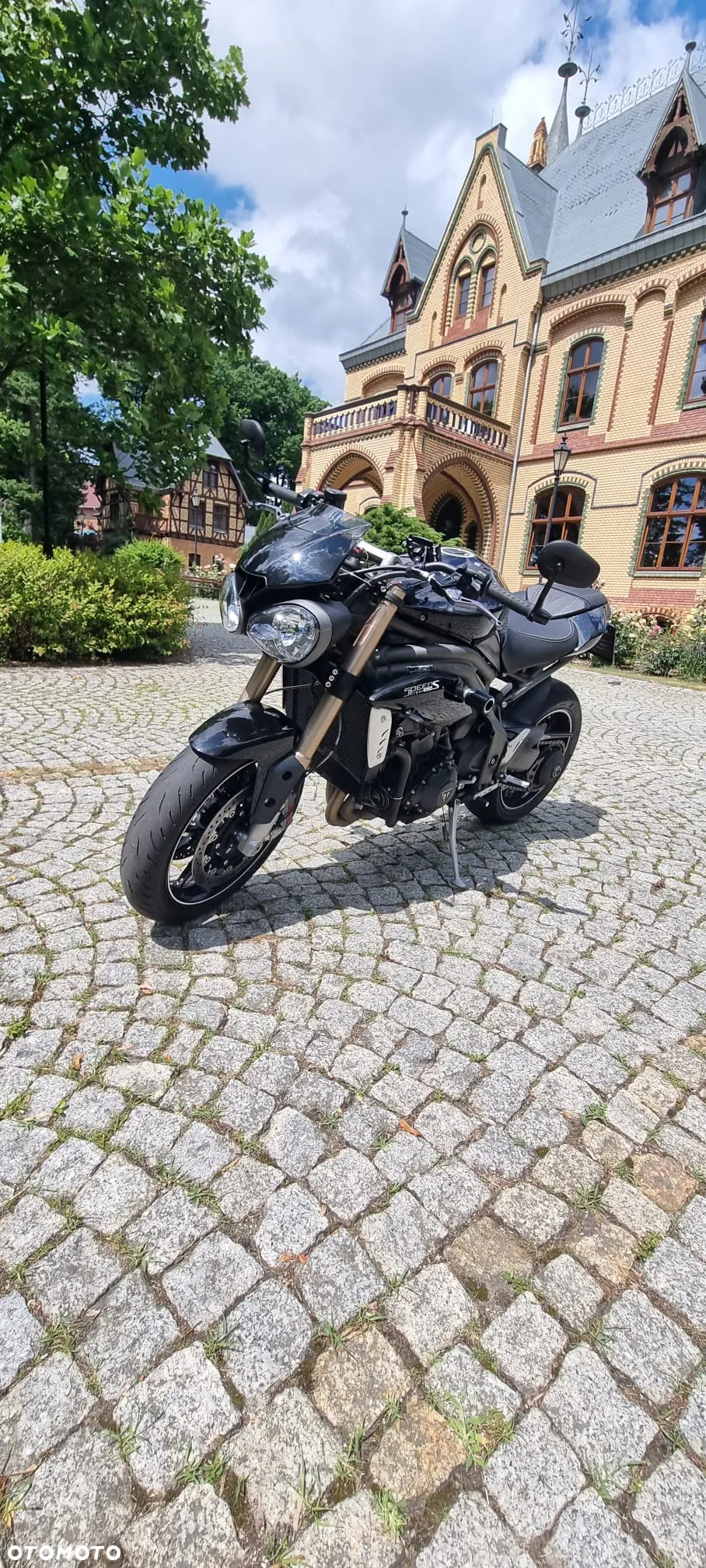 Triumph Speed Triple - 3