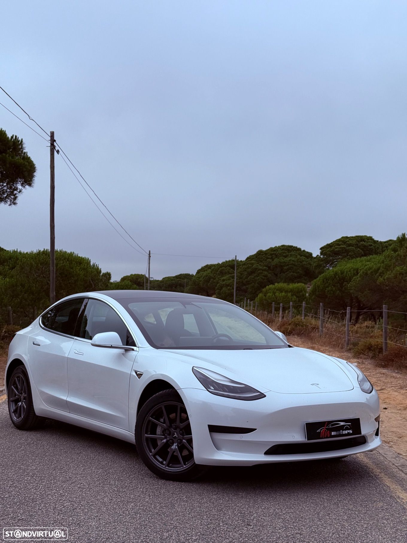 Tesla Model 3 Standard RWD Plus - 1