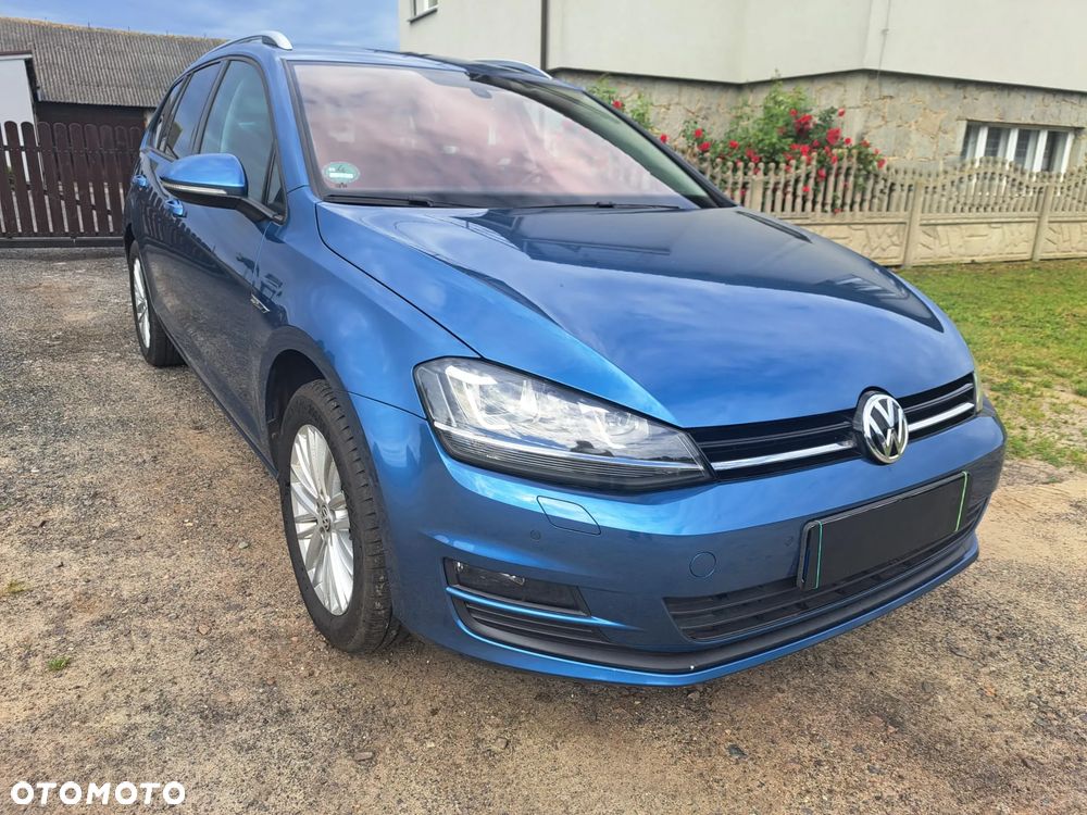 Volkswagen Golf - 1