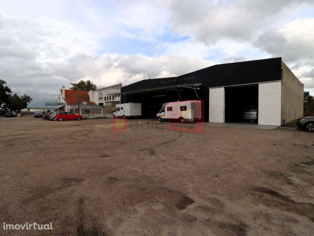 ARMAZÉM ATALAIA - ARRENDAMENTO - Grande imagem: 3/4