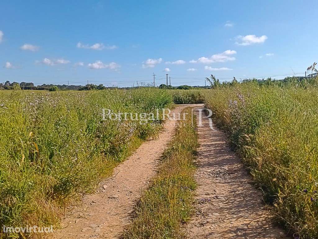 Terreno Rústico com 1.250 m², a 5 minutos das Praias - Algarve Cost... - Grande imagem: 3/5