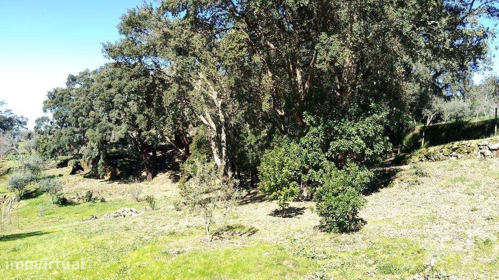 Terreno em Pedrógão Pequeno - Grande imagem: 2/30