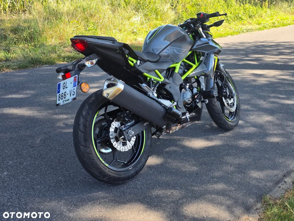 Kawasaki Z - 6