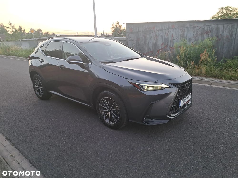 Lexus NX 450h+ E-FOUR Luxury - 9